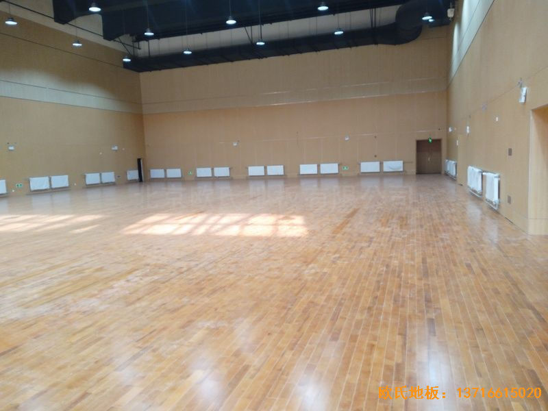 ɽ�|���u�����^(q��)�����С�W(xu��)�\��ľ�ذ���O(sh��)����