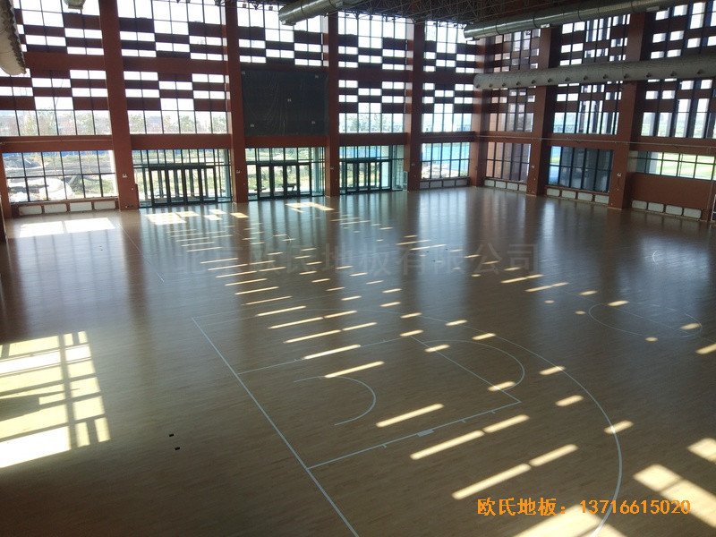 �ӱ����̴�W(xu��)��У�^(q��)�@���^�w��ľ�ذ�ʩ������5