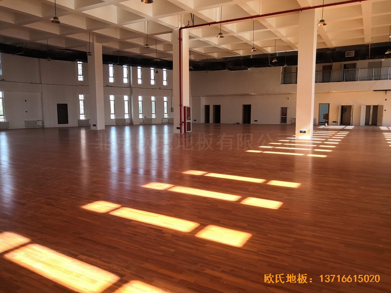 ������ɽ�L(zh��ng)�(y��ng)С�W(xu��)Ӗ(x��n)���^�\(y��n)��(d��ng)ľ�ذ���O(sh��)����2