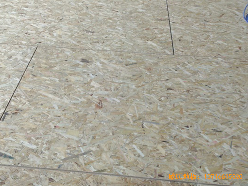 �Ͼ������^(q��)�@��㘷���\��ľ�ذ���b����2