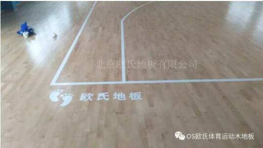 ����L(zh��ng)�s�Ƽ����F(tu��n)�w���^ľ�ذ�ɹ�����