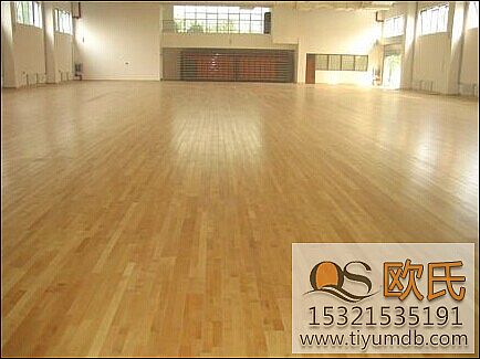 �w���ذ���ý�Q�ܳ����}����