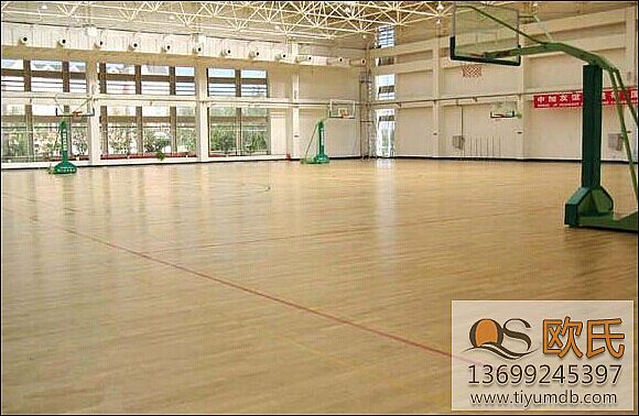 體育運(yùn)動(dòng)地板 體育運(yùn)動(dòng)地板