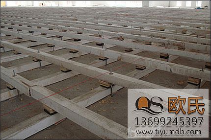 �p�����ǌ�(sh��)ľ�w���ذ�Y(ji��)��(g��u)���c(di��n)