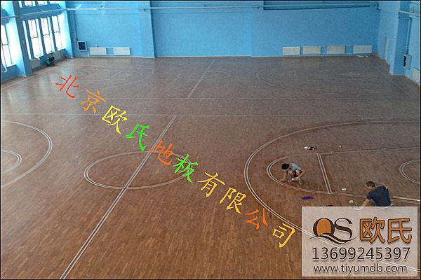 �W���w���ذ���������c