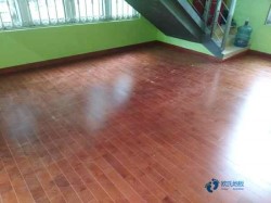 �����ǻ@��ľ�ذ����ӱ��B(y��ng)