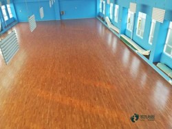 25���\(y��n)��(d��ng)�^ľ�ذ�����