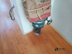 ��ľ���_(t��i)�\(y��n)��(d��ng)�w��ľ�ذ��^�õ�����Щ����