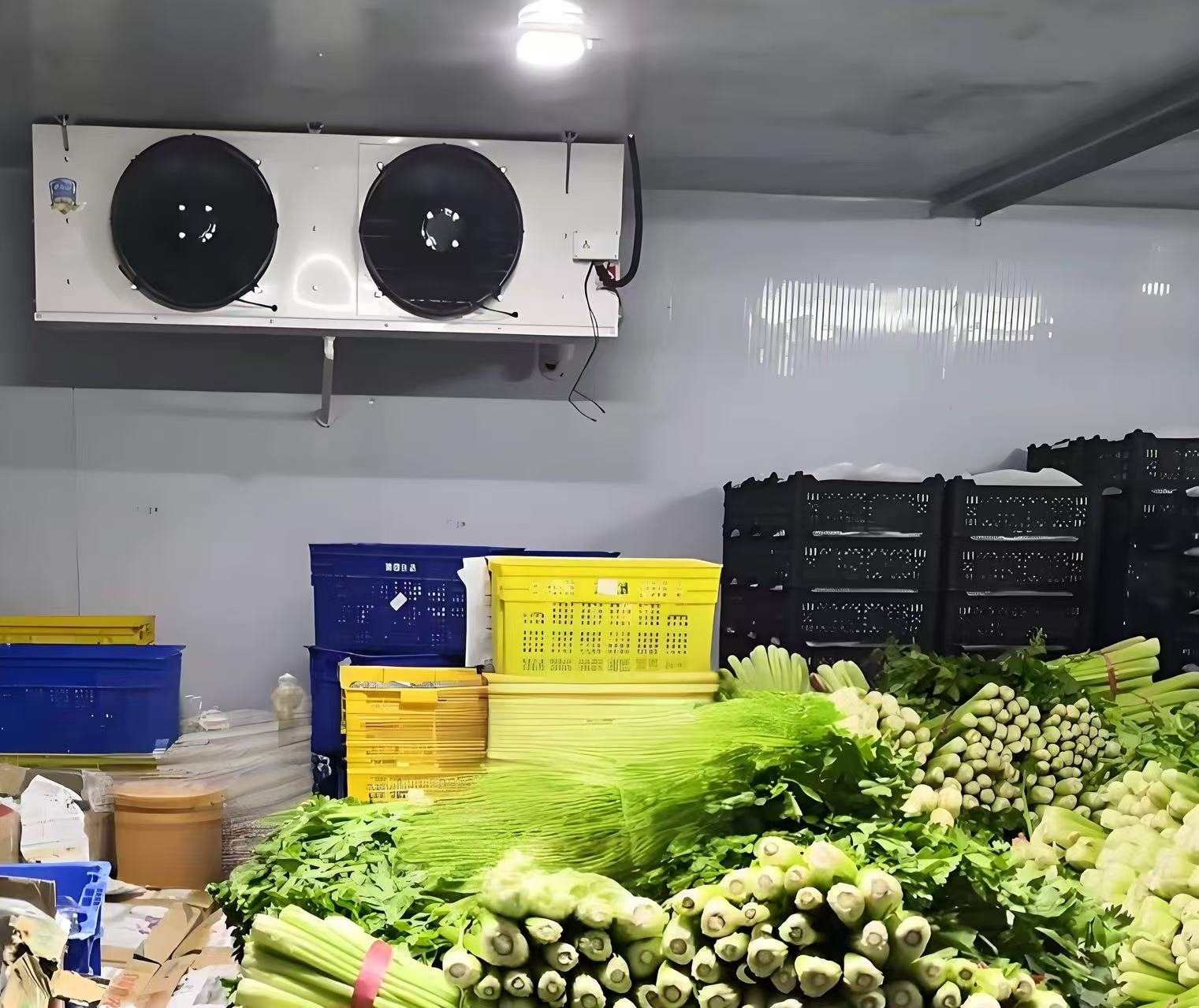 各種水果蔬菜的儲存適宜溫度