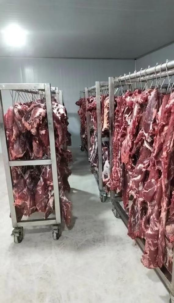 為客戶打造一個高標準的大肉（通常指豬、牛、羊等畜肉）冷藏庫，需要從保障肉質(zhì)和食品安全等多個維度進行考量。以下是一份詳細的注意事項和建設要點